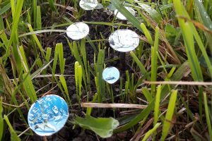 kunstgehtbaden_nue-amann__Blaupause-01_Himmel-auf-Erden-04